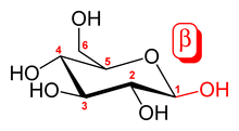 Beta-D-glucopyranose-2D-skeletal.png