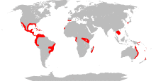 Global distribution of Lantana camara.svg