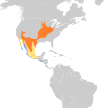 Vireo bellii map.svg