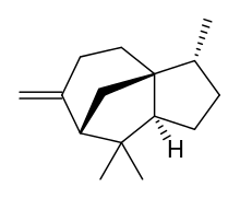 Beta-cedrene skeletal.svg