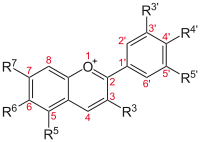 Basic structure of Anthocyans: The flavio-cation