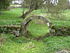 Bridge over the "stream" at Ryall's Lodge - geograph.org.uk - 276736.jpg