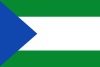 Flag of Puerto Triunfo