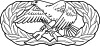 United States Air Force Maintenance Badge.svg