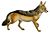 Dogs, jackals, wolves, and foxes (Plate XII).png
