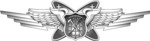 USAF Multi-Domain Warfare Officer Badge.png