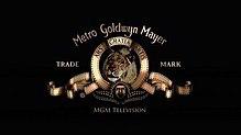 Metro-Goldwyn-Mayer Television.jpg