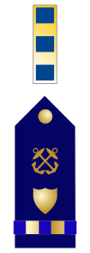 U.S. Coast Guard chief warrant officer 2 rank Insignia