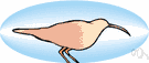 honeycreeper - small to medium-sized finches of the Hawaiian islands