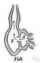 bicameral - consisting of two chambers
