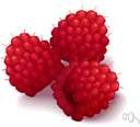 aggregate fruit - fruit consisting of many individual small fruits or drupes derived from separate ovaries within a common receptacle: e.g. blackberry