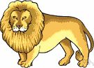 Panthera leo - large gregarious predatory feline of Africa and India having a tawny coat with a shaggy mane in the male
