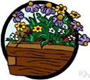 window box - a long narrow box for growing plants on a windowsill