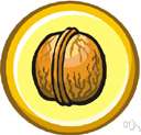 black walnut - American walnut having a very hard and thick woody shell