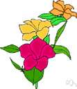achimenes - any plant of the genus Achimenes having showy bell-shaped flowers that resemble gloxinias