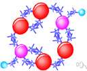 8-membered - of a chemical compound having a ring with eight members