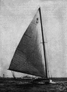catboat - a sailboat with a single mast set far forward