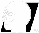 turbinate - of or relating to the scroll-shaped turbinate bones in the nasal passages
