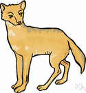 canid - any of various fissiped mammals with nonretractile claws and typically long muzzles