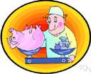 veterinary surgeon - a doctor who practices veterinary medicine