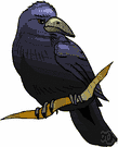 crow - black birds having a raucous call