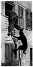 Interloper - definition of interloper by The Free Dictionary