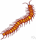 millipede - any of numerous herbivorous nonpoisonous arthropods having a cylindrical body of 20 to 100 or more segments most with two pairs of legs
