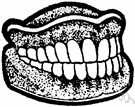 False teeth - definition of false teeth by The Free Dictionary