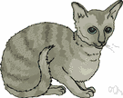 Abyssinian - a small slender short-haired breed of African origin having brownish fur with a reddish undercoat