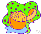 orange peel - the rind of an orange