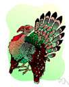 Meleagrididae - turkeys and some extinct forms