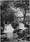 Twin Falls - a town on the Snake River in south central Idaho near the Twin Falls