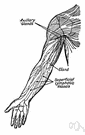 redness - a response of body tissues to injury or irritation