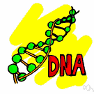 deoxyribonucleic acid - (biochemistry) a long linear polymer found in the nucleus of a cell and formed from nucleotides and shaped like a double helix