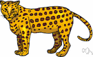 Panthera onca - a large spotted feline of tropical America similar to the leopard