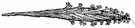 cladode - a flattened stem resembling and functioning as a leaf