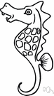 sea horse - either of two large northern marine mammals having ivory tusks and tough hide over thick blubber