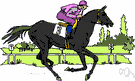 horse race - a contest of speed between horses