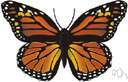 Danaus plexippus - large migratory American butterfly having deep orange wings with black and white markings