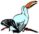 hornbill - bird of tropical Africa and Asia having a very large bill surmounted by a bony protuberance