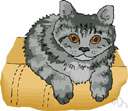 tabby cat - a cat with a grey or tawny coat mottled with black