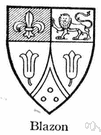 coat of arms - the official symbols of a family, state, etc.