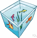 aquarium - a tank or pool or bowl filled with water for keeping live fish and underwater animals