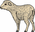 baa - the cry made by sheep