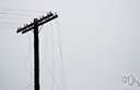 blackout - the failure of electric power for a general region