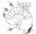 behavioristic - of or relating to behaviorism