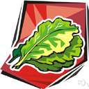 Bibb lettuce - lettuce with relatively crisp leaves
