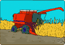 combine - harvester that heads and threshes and cleans grain while moving across the field
