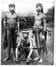 Bornean - a native or inhabitant of Borneo