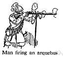 arquebus - an obsolete firearm with a long barrel